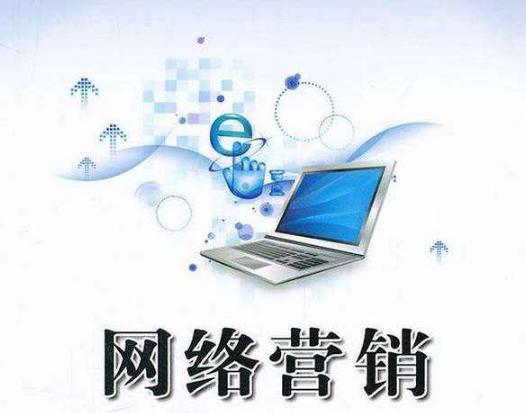網絡營銷與互聯(lián)網銷售 數字時代的雙輪驅動